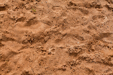 Background of beige, brown beach sand with natural pattern background. top view, flat lay. copy space, close up