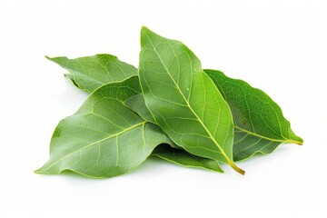 Obraz premium A fresh Bay leaf and Bay leaf Power isolated on white