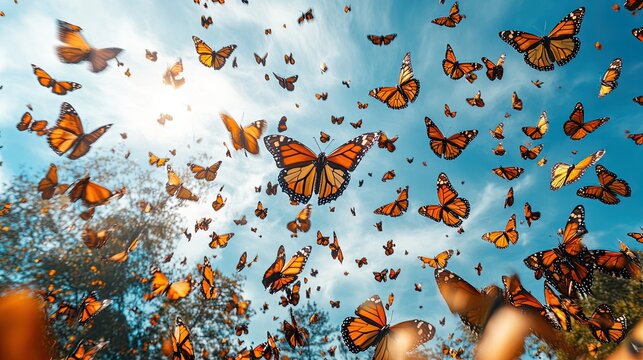 10. A stunning monarch butterfly migration scene, with thousands of butterflies filling the sky, their vibrant orange and black wings creating a mesmerizing pattern against the blue sky and the green