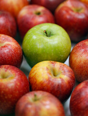 A vibrant green apple is surrounded by an array of red apples, highlighting the diversity in color and contrast. The apples are fresh. A single green apple stands out among a collection of red apples