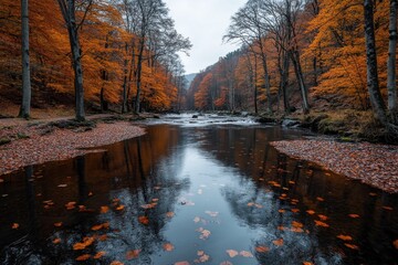 A scenic river with its surface dotted by colorful autumn leaves runs through a vibrant forest, where the hues of the foliage signify the beauty and splendor of fall.