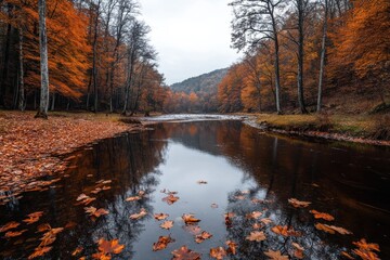 Obraz premium A peaceful river meanders through an autumn forest, reflecting the vivid colors of fallen leaves, creating a serene and picturesque scene that captures the essence of fall.