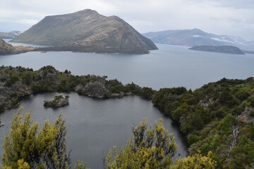 The lush Mou Waho island in Lake Wanaka, South Island, New Zealand