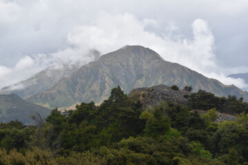 Fototapeta premium The lush Mou Waho island in Lake Wanaka, South Island, New Zealand