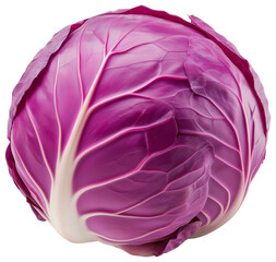 Obraz premium Fresh red cabbage ready for cooking or salad isolated on transparent background.
