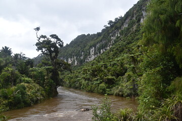 Hiking along the Punakaiki River Track and coastline in the Paparoa National Park, New Zealand