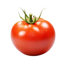 Collection of Visually Appealing Vegetables Isolated