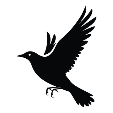 Silhouette of Birds vector, brids icone