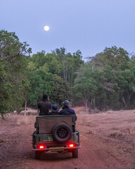 A group of people in a jeep during a safari entering the jungle under moonlight
