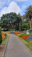 The botanical gardens in Wellington, New Zealand