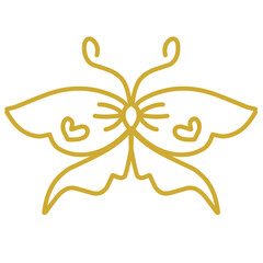 Butterfly outline 
