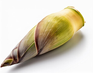 Bamboo Shoot isolated cut out white background with clipping path; no crop image