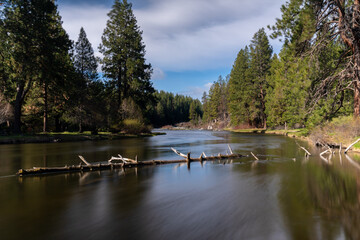 Reflection of a log in a river