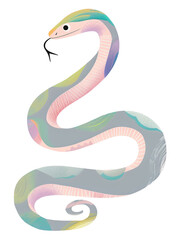 Obraz premium Snake png cute animal, transparent background