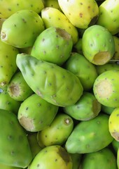 close up of tuna- the fruit of prickly pears