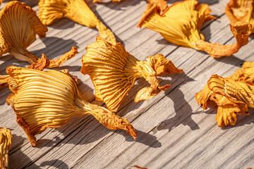 Detailed close-up of dried mushrooms, highlighting the intricate patterns and textures of the gills in natural sunlight. Shades of gold create a warm, organic feel.