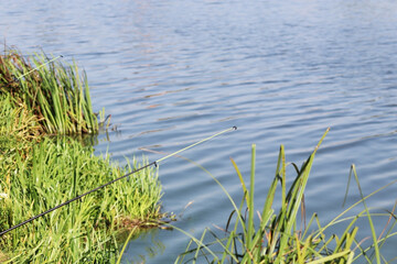 professional spinning rod for fishing in the lake