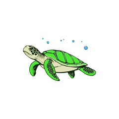 editable vector sea  turtle mascot logo. cute cartoon sea turtle.