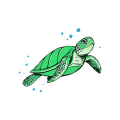 editable vector sea  turtle mascot logo. cute cartoon sea turtle.