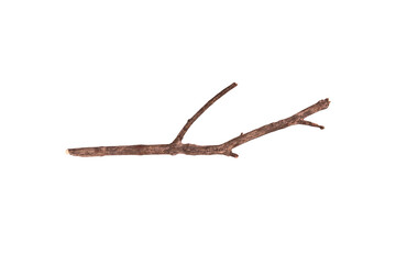Dry branch isolated on white background.