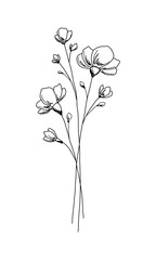 A bouquet of abstract wildflowers. Black and white contour illustration with a simple line, hand-drawn. A botanical festive element for decoration, postcard, design, wedding. Beautiful blooming buds.