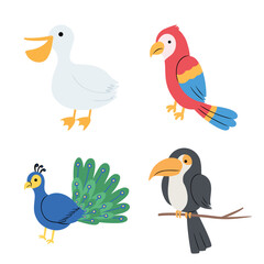 Four different cute birds in cartoon style, including a peacock, toucan, parrot, and duck.