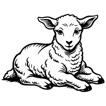 recommend clip art: Sitting Line art sheep vector, line cut sheep, silhouette vector illustration. sheep line art silhouette sketch black and white