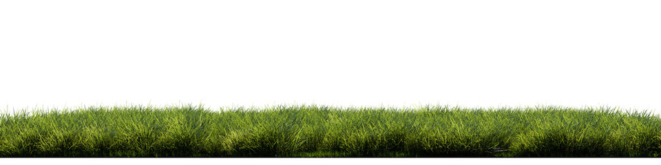 Fototapeta premium Grass, Front view without background and environment, png
