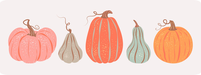 Set of colorful various pumpkins isolated on pastel background. Vector illustration in flat retro style. Collection of creative design elements or stickers. Symbol of Autumn harvest, Halloween