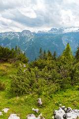 Bergpanorama Dachstein Krippenstein am Hallstätter See, Obertraun im Sommer Salzkammergut