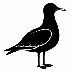 Seagull Black Vector silhouette