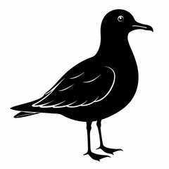 Seagull Black Vector silhouette