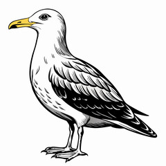 Seagull Black Vector silhouette