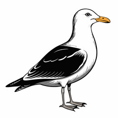 Seagull Black Vector silhouette