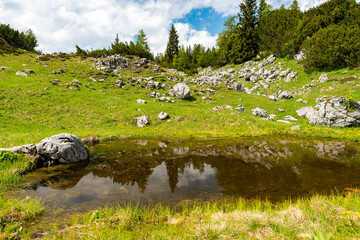 Kleiner See an der Sarsteinh&uuml;tte auf dem Feuerkogel  - Dachstein Krippenstein am Hallst&auml;tter See, Obertraun im Sommer Salzkammergut