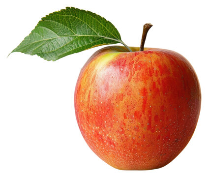 PNG Ripe apple with leaf fruit plant ripe.