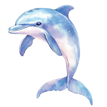 recommend clip art: cute Dolphin watercolor clipart illustration isolated