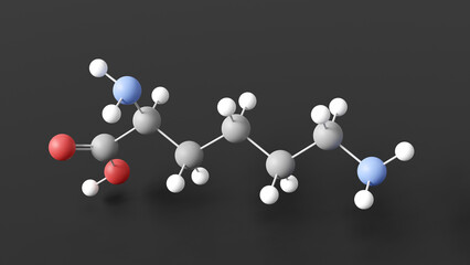Obraz premium l-lysine molecule 3d, molecular structure, ball and stick model, structural chemical formula a-amino acid