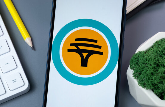 New York, USA - 30 August 2024: FNB South Africa Logo on Phone Screen, Company Icon on Display