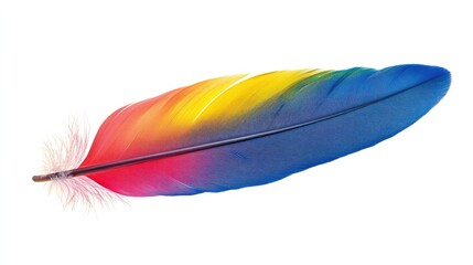 A single colorful parrot feather isolated on a white background with copy space, ideal for creative designs with a focus on natural beauty.
