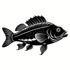Wrasse Black Vector silhouette