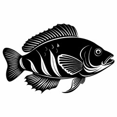 Wrasse Black Vector silhouette