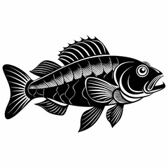 Wrasse Black Vector silhouette