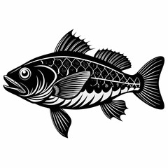 Wrasse Black Vector silhouette