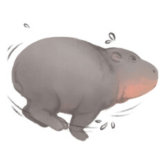 Baby hippo