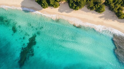 Aerial view of a beach with turquoise water