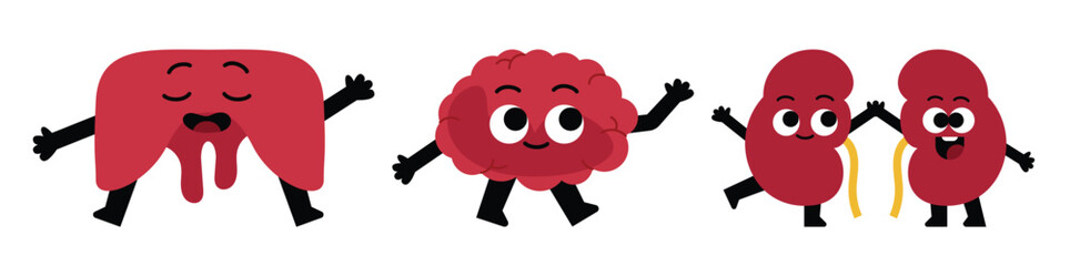 A cartoon illustration of a liver, a brain, and two kidneys. The organs are drawn as happy cartoon characters with arms and legs.