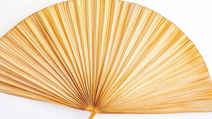 Dried Palm Leaf Fan with a White Background