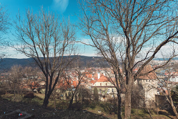 Nestled in the landscape, a charming village unfolds beneath the bright blue sky, while tall, bare...