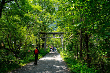 Fototapeta premium 上高地 明神池の風景